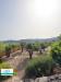 Villa in vendita a Pantelleria in via gattara snc - 04, Foto 4