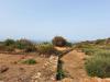 Villa in vendita a Pantelleria in via nik snc - 04, Foto 4