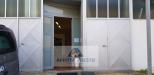 Attivit commerciale in gestione a Vinci - 06, Foto 6