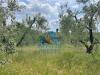 Terreno Agricolo in vendita a Vinci - 06, Foto 6