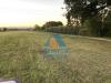 Terreno Agricolo in vendita a Empoli - 02, Foto 2