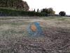 Terreno Agricolo in vendita a Empoli - 04, Foto 4