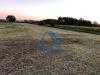 Terreno Agricolo in vendita a Empoli - 06, Foto 6