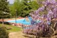 Attivit commerciale in gestione con giardino a Roccastrada - 03, Foto 3