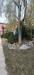 Appartamento in vendita con giardino a Empoli - 02, Foto 2