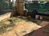 Appartamento bilocale in affitto con giardino a Empoli - 08, Foto 8
