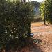 Loft in affitto con giardino a Montelupo Fiorentino - 02, Foto 2