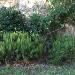 Loft in affitto con giardino a Montelupo Fiorentino - 05, Foto 5