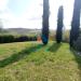 Appartamento in affitto a Montespertoli - 04, Foto 4