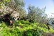 Casa indipendente in vendita con giardino a Pieve Ligure in via san bernardo - 06, Foto 6