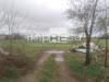 Terreno Agricolo in vendita a Paese in via nazionale paese - 03, Foto 3