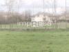 Terreno Agricolo in vendita a Paese in via nazionale paese - 04, Foto 4