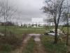 Terreno Industriale in vendita a Paese in via nazionale paese - 07, Foto 7