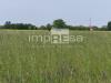 Terreno Agricolo in vendita a Paese in via sovernigo - 02, Foto 2