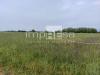 Terreno Agricolo in vendita a Paese in via sovernigo - 03, Foto 3