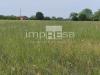 Terreno Agricolo in vendita a Paese in via sovernigo - 06, Foto 6