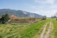 Casa indipendente in vendita con giardino a Cascina - laiano - 06