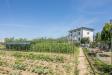 Casa indipendente in vendita con giardino a Cascina - 02