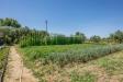 Casa indipendente in vendita con giardino a Cascina - 03
