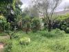 Appartamento in vendita con giardino a Mantova in via brescia - 03, Foto 3