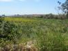 Terreno Agricolo in vendita a Pozzallo in contrada carpintera - 05, Foto 5