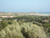 Terreno Agricolo in vendita a Scicli - 04, Foto 4