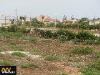Terreno Agricolo in vendita a Pachino in contrada lettiera - 03, Foto 3