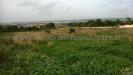 Terreno Agricolo in vendita a Scicli in c.da spinazza - 02, Foto 2