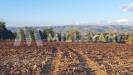 Terreno Edificabile in vendita a Rosolini - 03, Foto 3