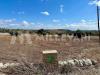 Terreno Agricolo in vendita a Modica in c.da mauto - 03, Foto 3