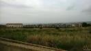 Terreno Agricolo in vendita a Scicli in c.da spinazza - 05, Foto 5