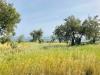 Terreno Agricolo in vendita a Modica in c.da bellamagna - 03, Foto 3