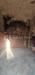 Stabile/Palazzo in vendita da ristrutturare a Scicli in via altobello - 04, Foto 4