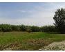 Terreno Agricolo in vendita a Pozzuoli in via delle colmate - 02, Foto 2