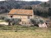 Terreno Agricolo in vendita con giardino a Cupra Marittima in contrada s.egidio - 05