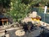 Appartamento in vendita con giardino a Cupra Marittima in corso vittorio emanuele - centro - 06