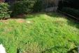 Appartamento bilocale in vendita con giardino a Rosignano Marittimo - 04, Foto 4