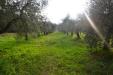 Terreno Edificabile in vendita a Rosignano Marittimo - 02, Foto 2