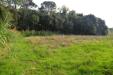 Terreno Edificabile in vendita a Rosignano Marittimo - 03, Foto 3