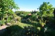 Appartamento in vendita con giardino a Rosignano Marittimo in via solferino - 04, Foto 4