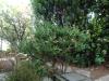 Villa in vendita con giardino a Montebelluna in santa maria in colle - 03, Foto 3