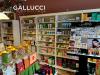 Attivit commerciale in vendita a Pescara in via giuseppe mazzini 62 - 05, Foto 5