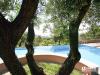 Villa in vendita con giardino a Gabicce Mare - 02, piscina14.jpg