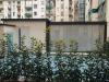 Loft in vendita a Torino in via quart 16 - 06, Foto 6