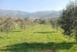Villa in vendita a Calci - 06, Foto 6