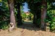 Villa in vendita con giardino a Piscina in via calvetti - 04, Foto 4