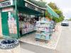 Attivit commerciale in vendita a Pisa in viale del tirreno 339 - 05, Foto 5