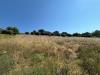 Terreno Agricolo in vendita a Cupra Marittima - 02, Foto 2