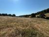 Terreno Agricolo in vendita a Cupra Marittima - 03, Foto 3