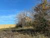 Rustico in vendita da ristrutturare a Offida - 05, Foto 5